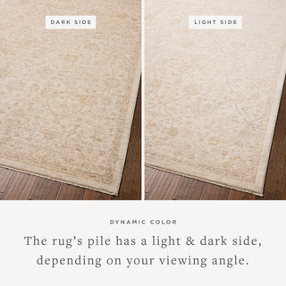 The Rug Corner Chris Loves Julia x Loloi Palma Ivory / Sand  