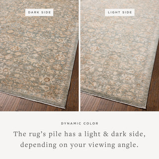 The Rug Corner Chris Loves Julia x Loloi Chris Loves Julia - Palma Blue / Natural Area Rug  