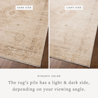 The Rug Corner Chris Loves Julia x Loloi Chris Loves Julia - Palma Natural / Smoke Area Rug  