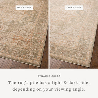 The Rug Corner Chris Loves Julia x Loloi Palma Olive / Spice  