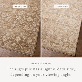 The Rug Corner Chris Loves Julia x Loloi Palma Brown / Earth  