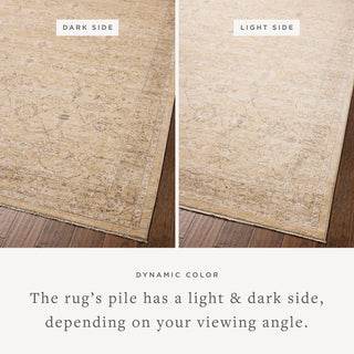 The Rug Corner Chris Loves Julia x Loloi Palma Wheat / Bark  