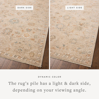 Chris Loves Julia - Palma Natural / Multi Area Rug