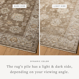 The Rug Corner Loloi Priscilla Bark / Ivory  