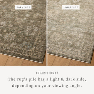 The Rug Corner Loloi Priscilla Olive / Sand  