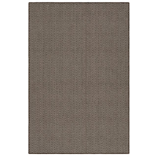 Provo PV2 Brown