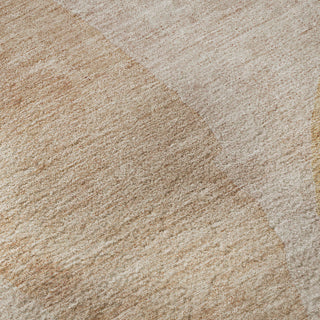 The Rug Corner Dalyn Ravenna RN12 Coral  Ravenna RN12 Coral