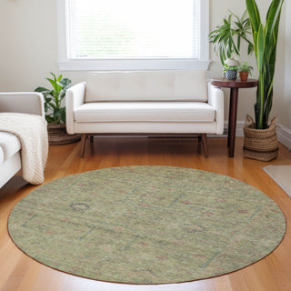 lifestyle The Rug Corner Dalyn Ravenna RN5 Aloe  Ravenna RN5 Aloe