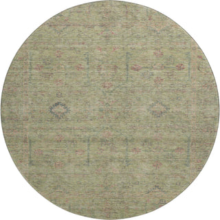 The Rug Corner Dalyn Ravenna RN5 Aloe  Ravenna RN5 Aloe
