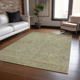lifestyle The Rug Corner Dalyn Ravenna RN5 Aloe  Ravenna RN5 Aloe