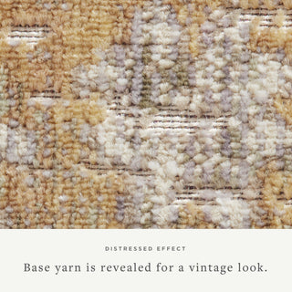 The Rug Corner Chris Loves Julia x Loloi Chris Loves Julia - Rosemarie Gold / Sand Area Rug  