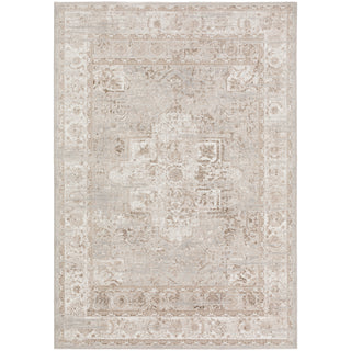 The Rug Corner Dalyn Rhodes RR6 Taupe  