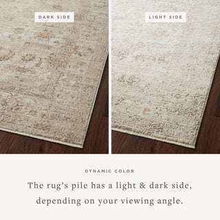 The Rug Corner Loloi Sonnet Sand / Taupe  