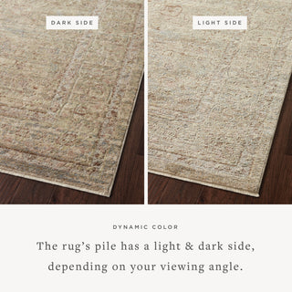 The Rug Corner Loloi Sonnet Moss / Natural  