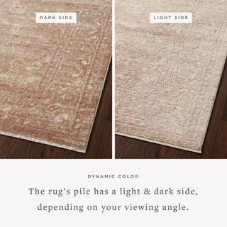The Rug Corner Loloi Sonnet Terracotta / Natural  