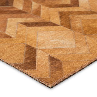 The Rug Corner Dalyn Stetson SS5 Spice  Stetson SS5 Spice