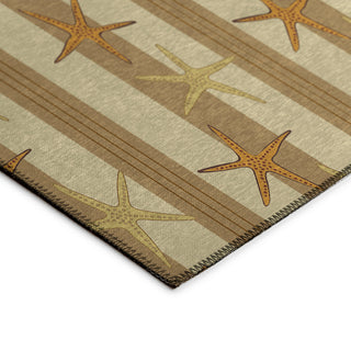The Rug Corner Dalyn Seabreeze SZ12 Beige  Seabreeze SZ12 Beige