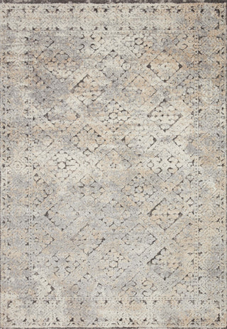 The Rug Corner Loloi Theory Grey / Sand  