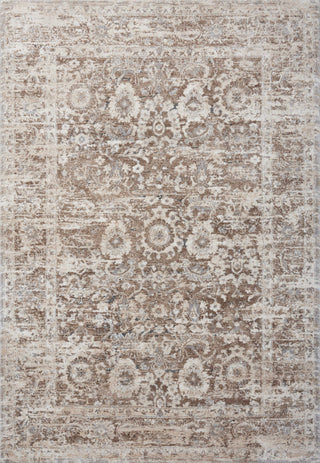 The Rug Corner Loloi Theory Mocha / Natural  