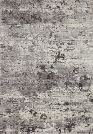 The Rug Corner Loloi Theory Charcoal / Grey  