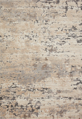 The Rug Corner Loloi Theory Taupe / Grey  