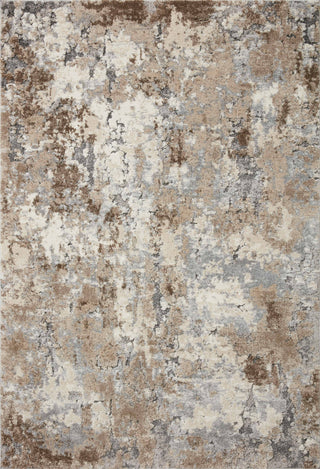 The Rug Corner Loloi Theory Dove / Bark  