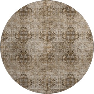 The Rug Corner Dalyn Trevi TV16 Taupe  Trevi TV16 Taupe
