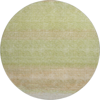 The Rug Corner Dalyn Trevi TV2 Aloe  Trevi TV2 Aloe
