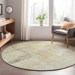 lifestyle The Rug Corner Dalyn Trevi TV5 Wheat  Trevi TV5 Wheat