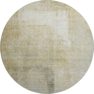 The Rug Corner Dalyn Trevi TV5 Wheat  Trevi TV5 Wheat