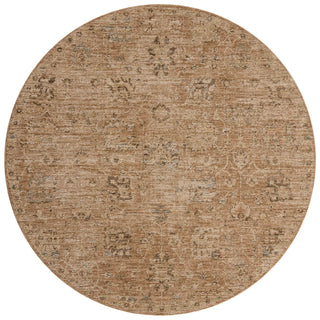 The Rug Corner Loloi Willa Clay / Multi  