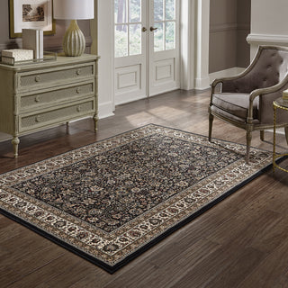 Ariana Black/Ivory Area Rug 213K8
