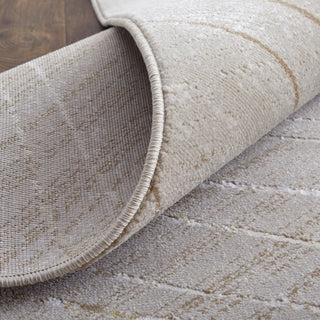 The Rug Corner Feizy Waldor Modern Abstract - Taupe/Brown/Silver  