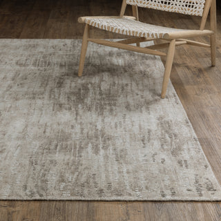 Clarke Beige/Brown Area Rug CLA08