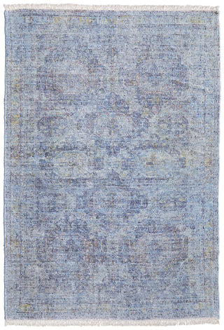 Caldwell Transitional Distressed - Blue/Ivory