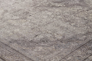 Sarrant Transitional Medallion - Gray/Silver/Ivory