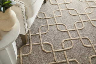The Rug Corner Feizy Kimball Transitional Trellis & Lattice - Gray/Taupe/Tan  
