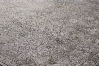 The Rug Corner Feizy Sarrant Transitional Damask - Gray/Silver/Tan  