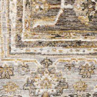 Maharaja Grey/Gold Area Rug 040M1
