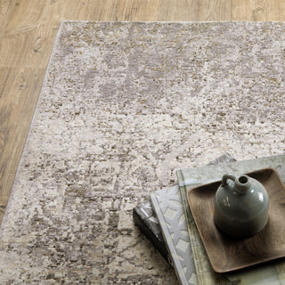 Nebulous Beige/Grey Area Rug 1330E