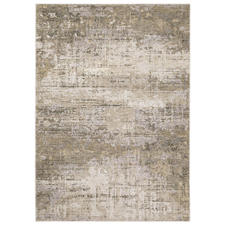 Nebulous Beige/Grey Area Rug 001H9