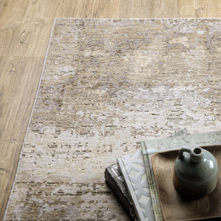 Nebulous Beige/Grey Area Rug 001H9