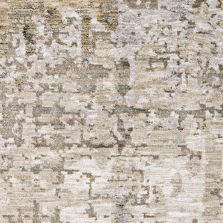 Nebulous Beige/Grey Area Rug 001H9