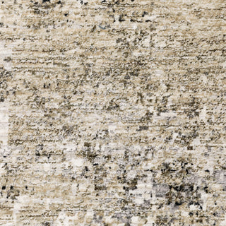 Nebulous Beige/Grey Area Rug 002X9