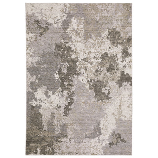Nebulous Grey/Ivory Area Rug 5091E