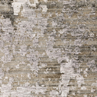 Nebulous Grey/Ivory Area Rug 5091E