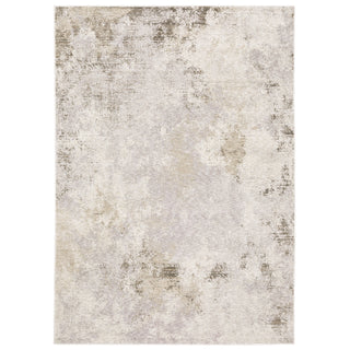 Nebulous Ivory/Beige Area Rug 050J9