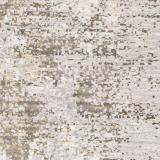 Nebulous Ivory/Beige Area Rug 050J9