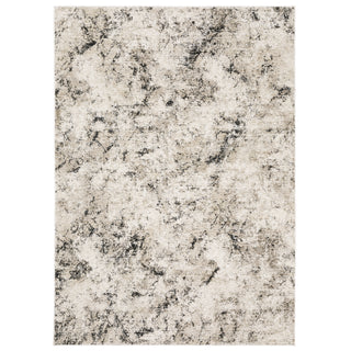 Nebulous Ivory/Grey Area Rug 561E9