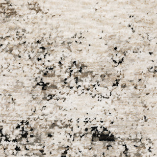 Nebulous Ivory/Grey Area Rug 561E9